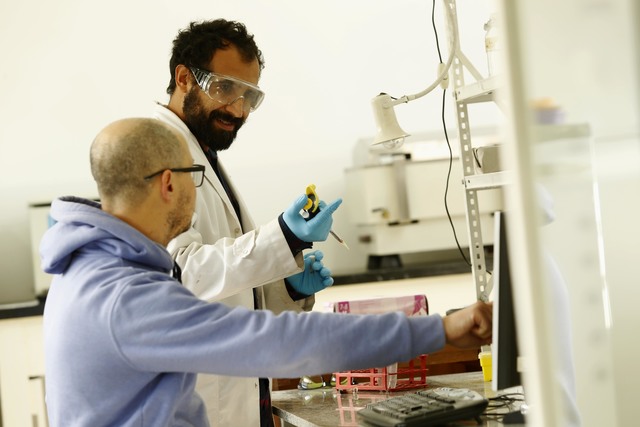 Detectan nuevos antígenos para un diagnóstico más preciso de la Toxoplasmosis Detectan nuevos antígenos para un diagnóstico más preciso de la Toxoplasmosis