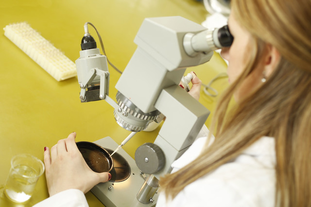 Prueban con éxito en ensayos de laboratorio una nueva droga para combatir la diabetes Prueban con éxito en ensayos de laboratorio una nueva droga para combatir la diabetes