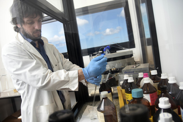 La UNLP buscará nuevos fármacos para tratar uno de los tipos de epilepsia infantil más raros y agresivos La UNLP buscará nuevos fármacos para tratar uno de los tipos de epilepsia infantil más raros y agresivos
