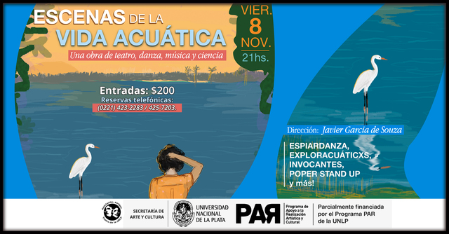 Escenas de la vida acuática Escenas de la vida acuática