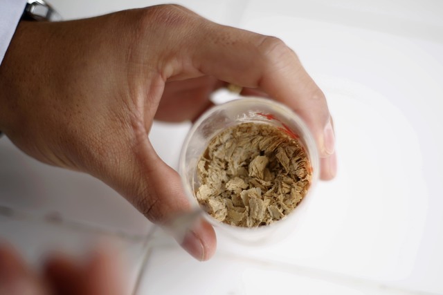 Estudian propiedades de la arcilla para remover contaminantes del agua Estudian propiedades de la arcilla para remover contaminantes del agua