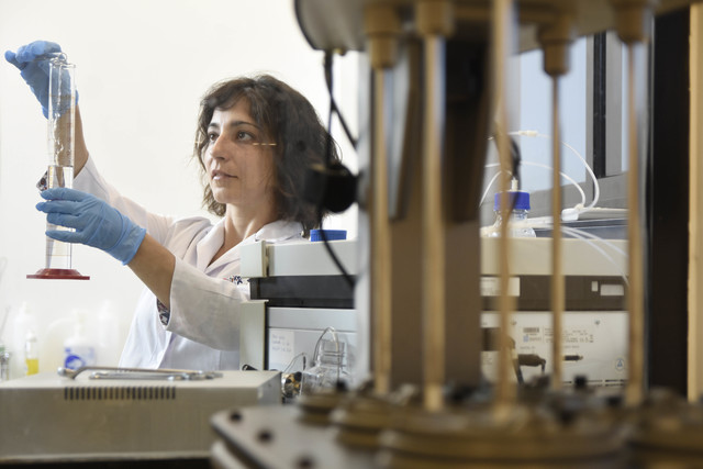 Investigadores de la UNLP expondrán al mundo sus avances en enfermedades desatendidas Investigadores de la UNLP expondrán al mundo sus avances en enfermedades desatendidas