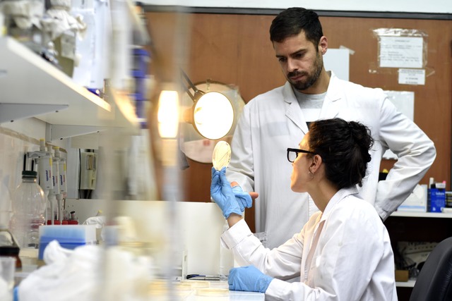 Con la Nanotecnología como aliada, científicos de la UNLP luchan contra infecciones bacterianas graves Con la Nanotecnología como aliada, científicos de la UNLP luchan contra infecciones bacterianas graves