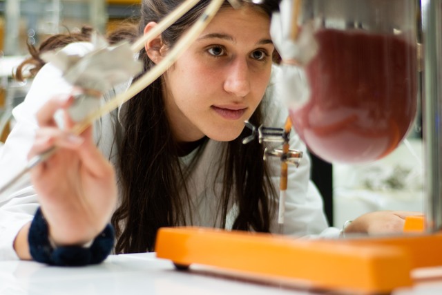 Con la ayuda de microorganismos antárticos buscan eliminar colorantes vertidos en los arroyos Con la ayuda de microorganismos antárticos buscan eliminar colorantes vertidos en los arroyos