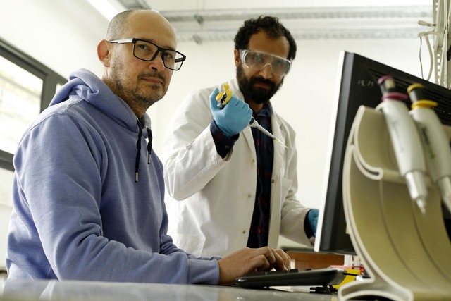 Detectan nuevos antígenos para un diagnóstico más preciso de la Toxoplasmosis Detectan nuevos antígenos para un diagnóstico más preciso de la Toxoplasmosis