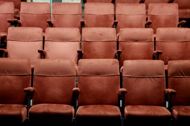El Teatro de la UNLP, una joya del patrimonio cultural que recupera su brillo El Teatro de la UNLP, una joya del patrimonio cultural que recupera su brillo