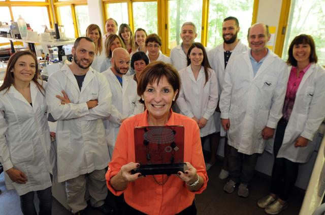 Desarrollan un chip de ADN para mejorar la producción bovina Desarrollan un chip de ADN para mejorar la producción bovina