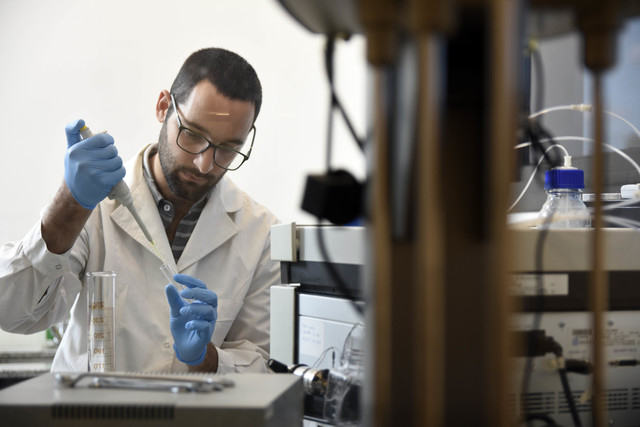 Investigadores de la UNLP expondrán al mundo sus avances en enfermedades desatendidas Investigadores de la UNLP expondrán al mundo sus avances en enfermedades desatendidas