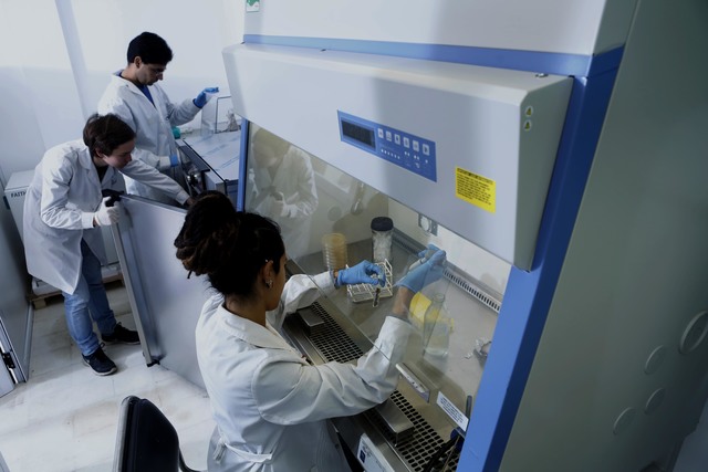 Con nanopartículas de plata desarrollan un método para evitar infecciones Con nanopartículas de plata desarrollan un método para evitar infecciones