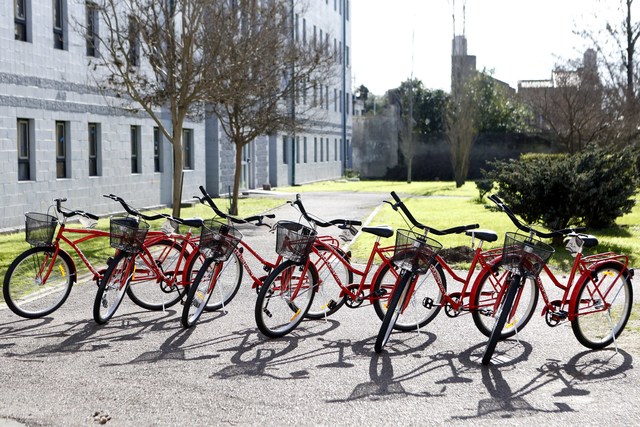 Más bicis para los estudiantes de la UNLP Más bicis para los estudiantes de la UNLP