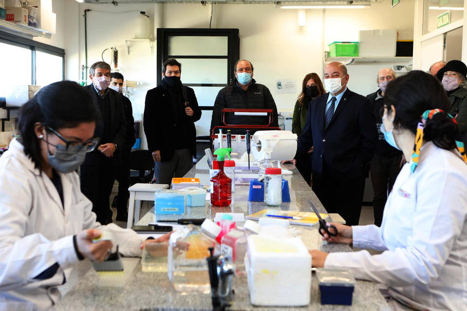 Argenvac 221: Tauber y Salvarezza recorrieron los laboratorios donde se desarrolla la vacuna contra el covid-19