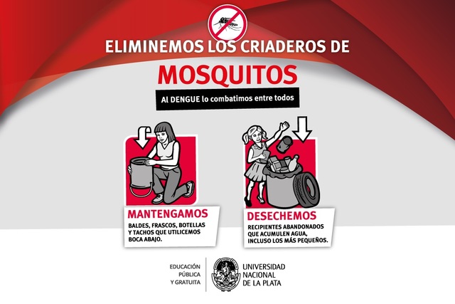 La UNLP puso en marcha un plan de acción contra el Dengue La UNLP puso en marcha un plan de acción contra el Dengue