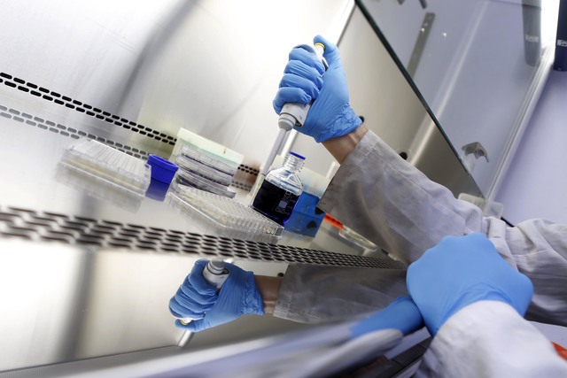 Diseñan nanopartículas para mejorar tratamientos contra el cáncer Diseñan nanopartículas para mejorar tratamientos contra el cáncer