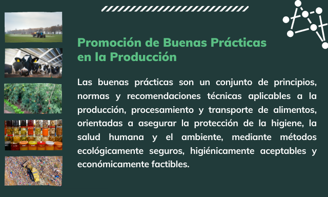 Promoción de Buenas Prácticas en la Producción Promoción de Buenas Prácticas en la Producción