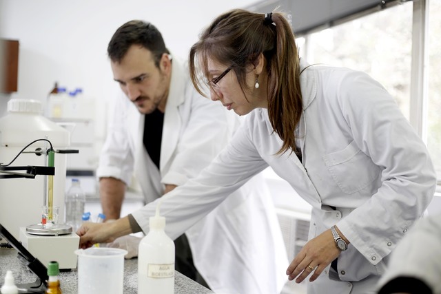 Descubren un compuesto para mejorar la calidad y los rindes de los cultivos de maíz Descubren un compuesto para mejorar la calidad y los rindes de los cultivos de maíz