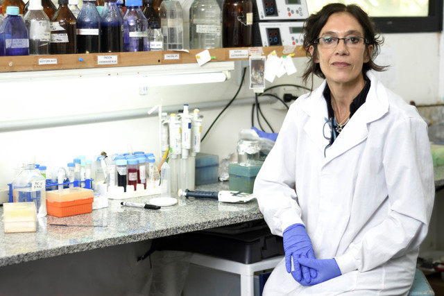 Los movimientos antivacunas: una amenaza para la calidad sanitaria de la población Los movimientos antivacunas: una amenaza para la calidad sanitaria de la población