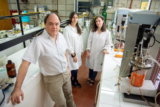 Con la ayuda de microorganismos antárticos buscan eliminar colorantes vertidos en los arroyos Con la ayuda de microorganismos antárticos buscan eliminar colorantes vertidos en los arroyos