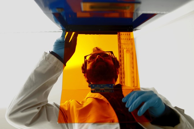Detectan nuevos antígenos para un diagnóstico más preciso de la Toxoplasmosis Detectan nuevos antígenos para un diagnóstico más preciso de la Toxoplasmosis