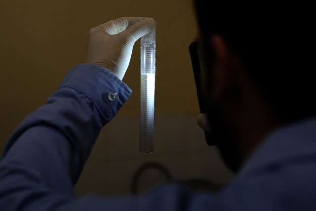 Prevención de riesgos: la UNLP registra la tasa más baja de accidentes del sistema universitario Prevención de riesgos: la UNLP registra la tasa más baja de accidentes del sistema universitario