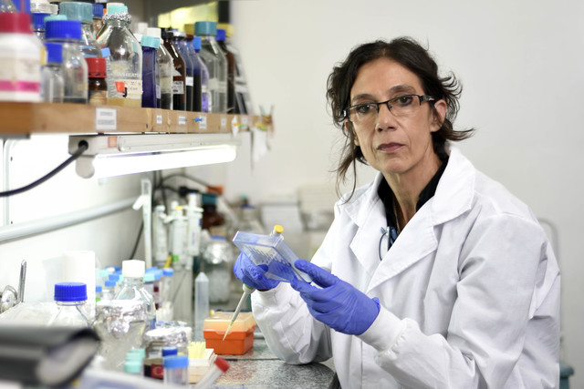 Los movimientos antivacunas: una amenaza para la calidad sanitaria de la población Los movimientos antivacunas: una amenaza para la calidad sanitaria de la población