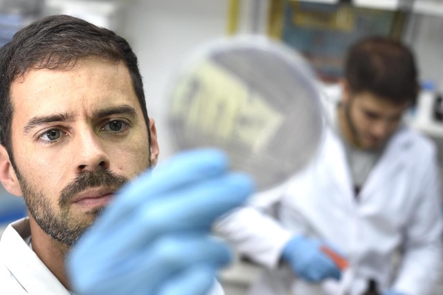 Diseñan nanopartículas para mejorar tratamientos contra el cáncer Diseñan nanopartículas para mejorar tratamientos contra el cáncer