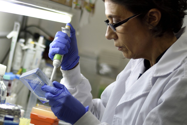 Los movimientos antivacunas: una amenaza para la calidad sanitaria de la población Los movimientos antivacunas: una amenaza para la calidad sanitaria de la población