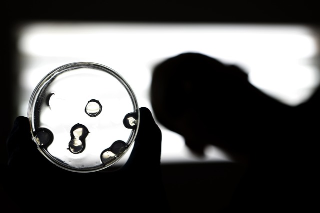 Diseñan nanopartículas para mejorar tratamientos contra el cáncer Diseñan nanopartículas para mejorar tratamientos contra el cáncer
