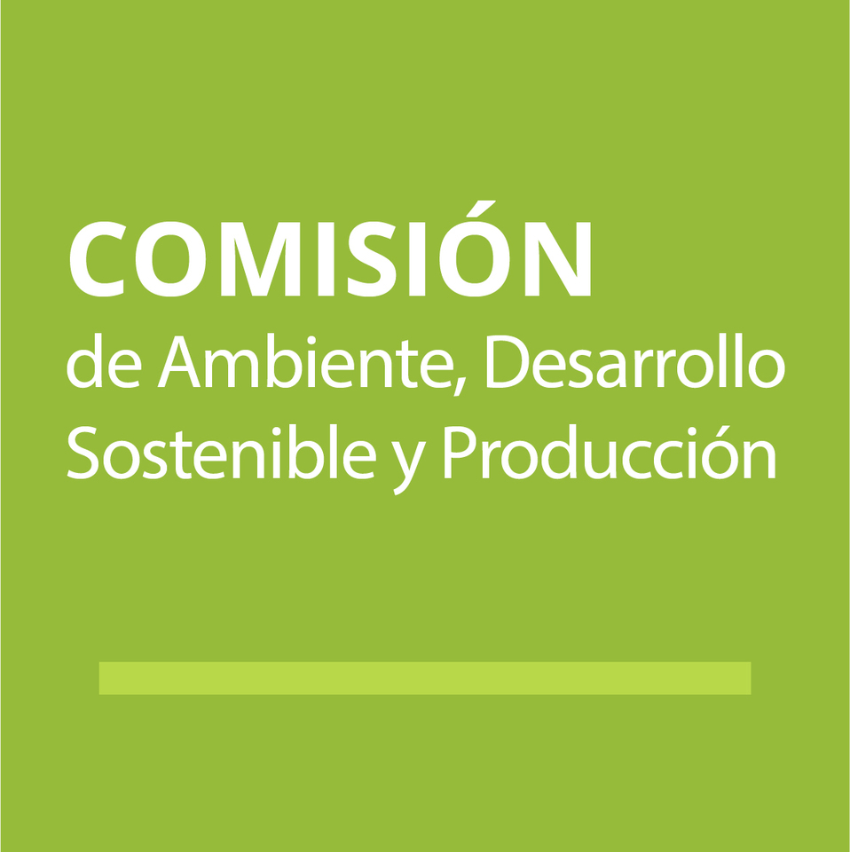 Comisión de Ambiente, Desarrollo Sostenible y Producción