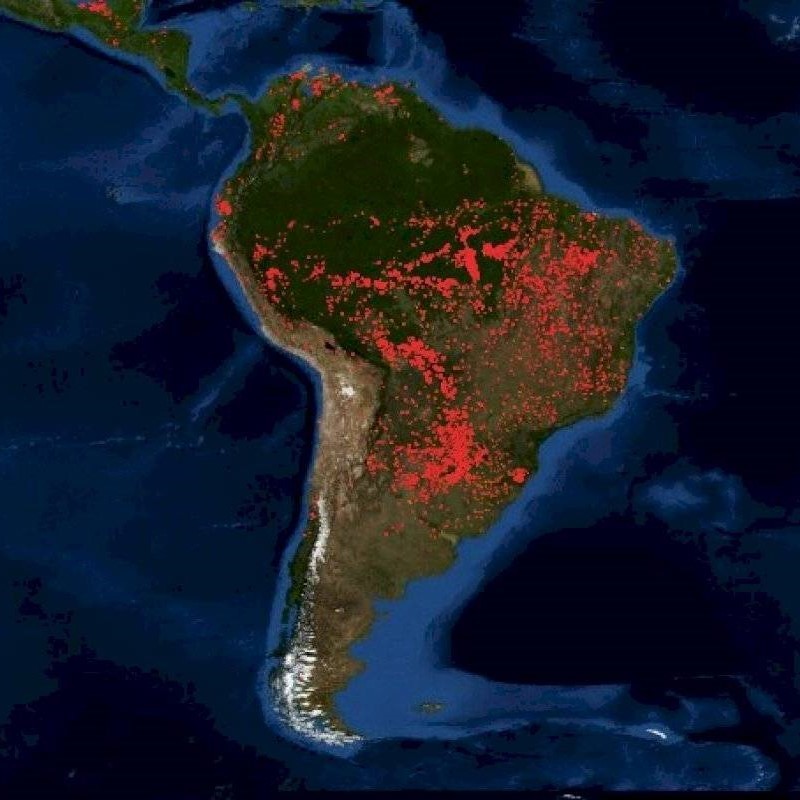 El incendio de la selva amazónica en la mirada de una experta de la UNLP