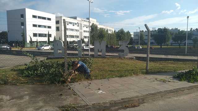 Tareas de desmalezamiento a cargo de personal de la UNLP Tareas de desmalezamiento a cargo de personal de la UNLP