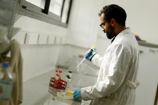 Detectan nuevos antígenos para un diagnóstico más preciso de la Toxoplasmosis Detectan nuevos antígenos para un diagnóstico más preciso de la Toxoplasmosis