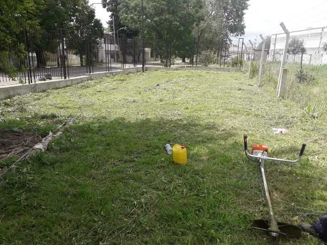 Tareas de desmalezamiento a cargo de personal de la UNLP Tareas de desmalezamiento a cargo de personal de la UNLP