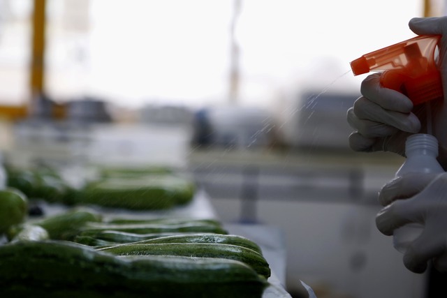 El proyecto “¿Sabes qué comes?” busca generar un intercambio de conocimientos con la sociedad en materia de alimentos El proyecto “¿Sabes qué comes?” busca generar un intercambio de conocimientos con la sociedad en materia de alimentos