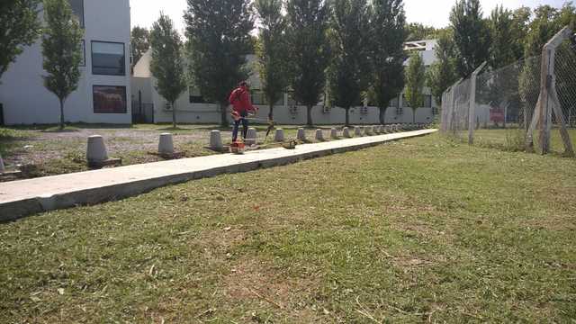 Tareas de desmalezamiento a cargo de personal de la UNLP Tareas de desmalezamiento a cargo de personal de la UNLP