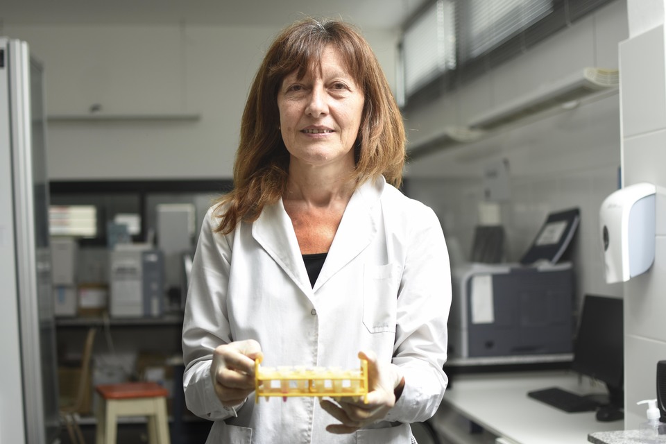 Frente a la saturación de centros de salud, explican cuándo es necesario realizarse un hisopado Frente a la saturación de centros de salud, explican cuándo es necesario realizarse un hisopado