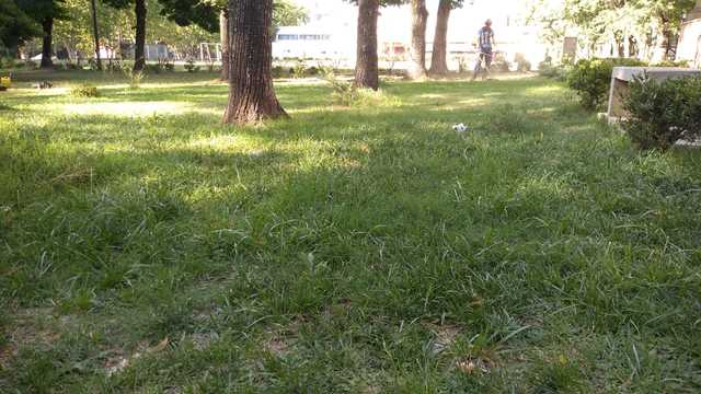 Tareas de desmalezamiento a cargo de personal de la UNLP Tareas de desmalezamiento a cargo de personal de la UNLP
