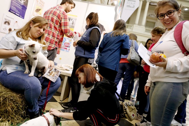 Expo Universidad se despidió hasta el próxima año Expo Universidad se despidió hasta el próxima año