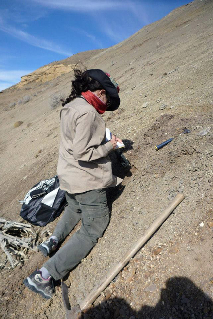 La científica platense que revela los secretos de las rocas en busca de petróleo La científica platense que revela los secretos de las rocas en busca de petróleo