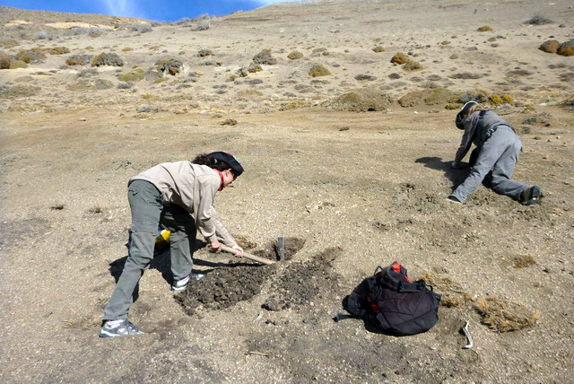 La científica platense que revela los secretos de las rocas en busca de petróleo La científica platense que revela los secretos de las rocas en busca de petróleo