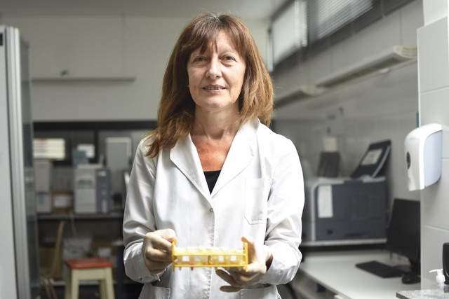 La UNLP ya realizó más de 20 mil testeos de diagnóstico para la detección de casos de coronavirus La UNLP ya realizó más de 20 mil testeos de diagnóstico para la detección de casos de coronavirus