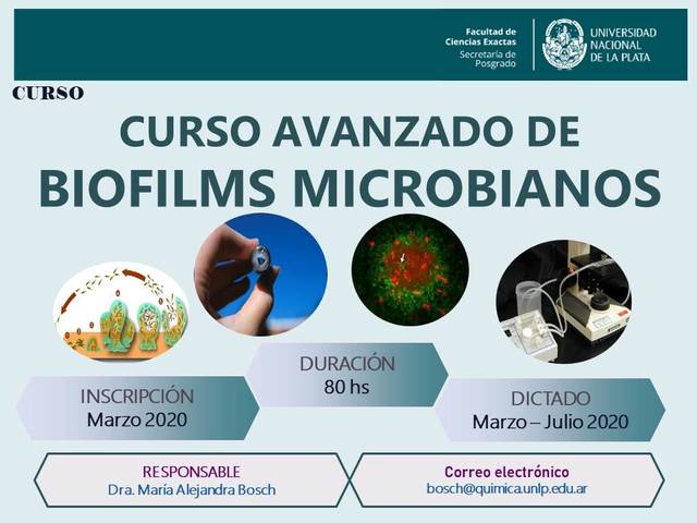 Curzo Avanzado Curzo Avanzado
