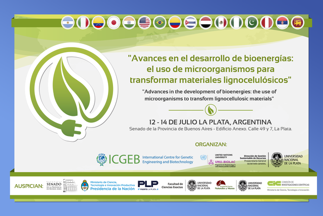 Curso: Avances en el desarrollo de bioenergías Curso: Avances en el desarrollo de bioenergías