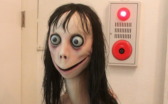 Momo1 Momo1
