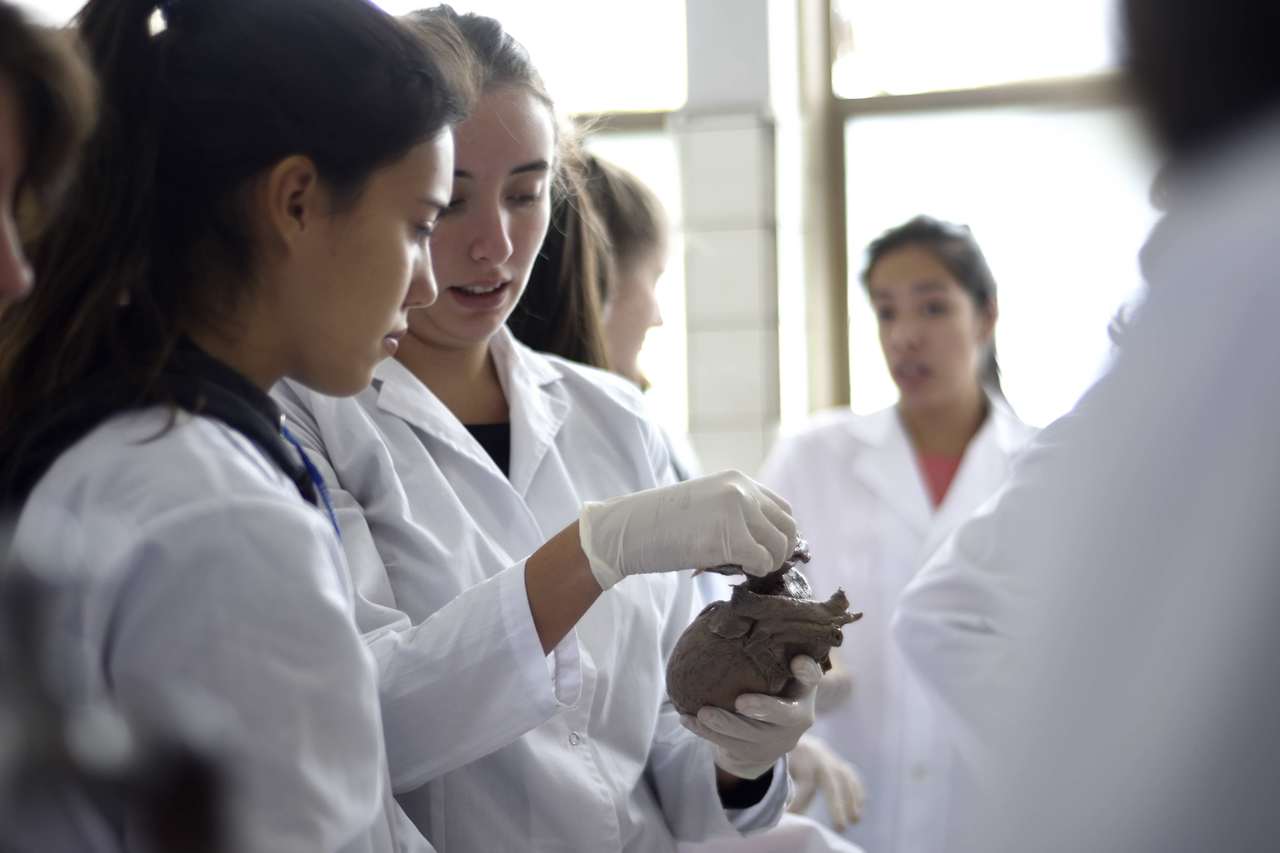 Avances para crear la primera cátedra de grado para la formación de médicos intensivistas
Avances para crear la primera cátedra de grado para la formación de médicos intensivistas