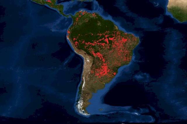 El incendio de la selva amazónica en la mirada de una experta de la UNLP El incendio de la selva amazónica en la mirada de una experta de la UNLP