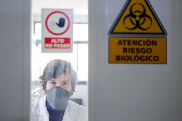 La UNLP ya realizó más de 20 mil testeos de diagnóstico para la detección de casos de coronavirus La UNLP ya realizó más de 20 mil testeos de diagnóstico para la detección de casos de coronavirus