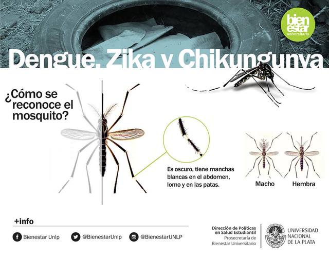 Campaña preventiva: "Contra el DENGUE, ZIKA Y CHIKUNGUNYA" Campaña preventiva: "Contra el DENGUE, ZIKA Y CHIKUNGUNYA"