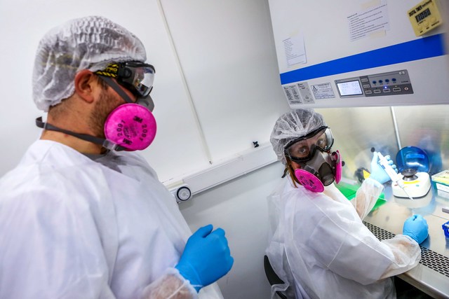 La UNLP ya realizó más de 20 mil testeos de diagnóstico para la detección de casos de coronavirus La UNLP ya realizó más de 20 mil testeos de diagnóstico para la detección de casos de coronavirus