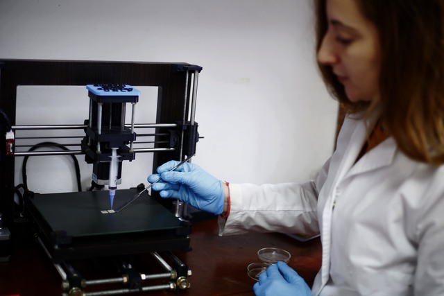 Un avance revolucionario que abre la puerta a nuevas y más efectivas formas de tratar las lesiones en los pacientes diabéticos Un avance revolucionario que abre la puerta a nuevas y más efectivas formas de tratar las lesiones en los pacientes diabéticos
