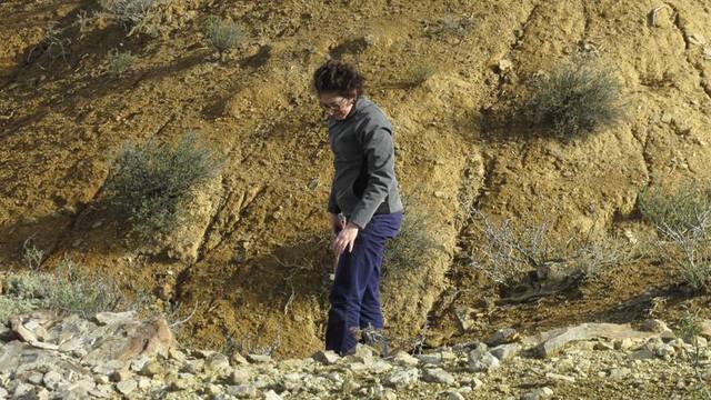 Hallan nuevos peces que habitaron la Patagonia hace más de 130 millones de años Hallan nuevos peces que habitaron la Patagonia hace más de 130 millones de años